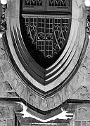 Wall_Art_Alphabet_Photography_Art_ 2243